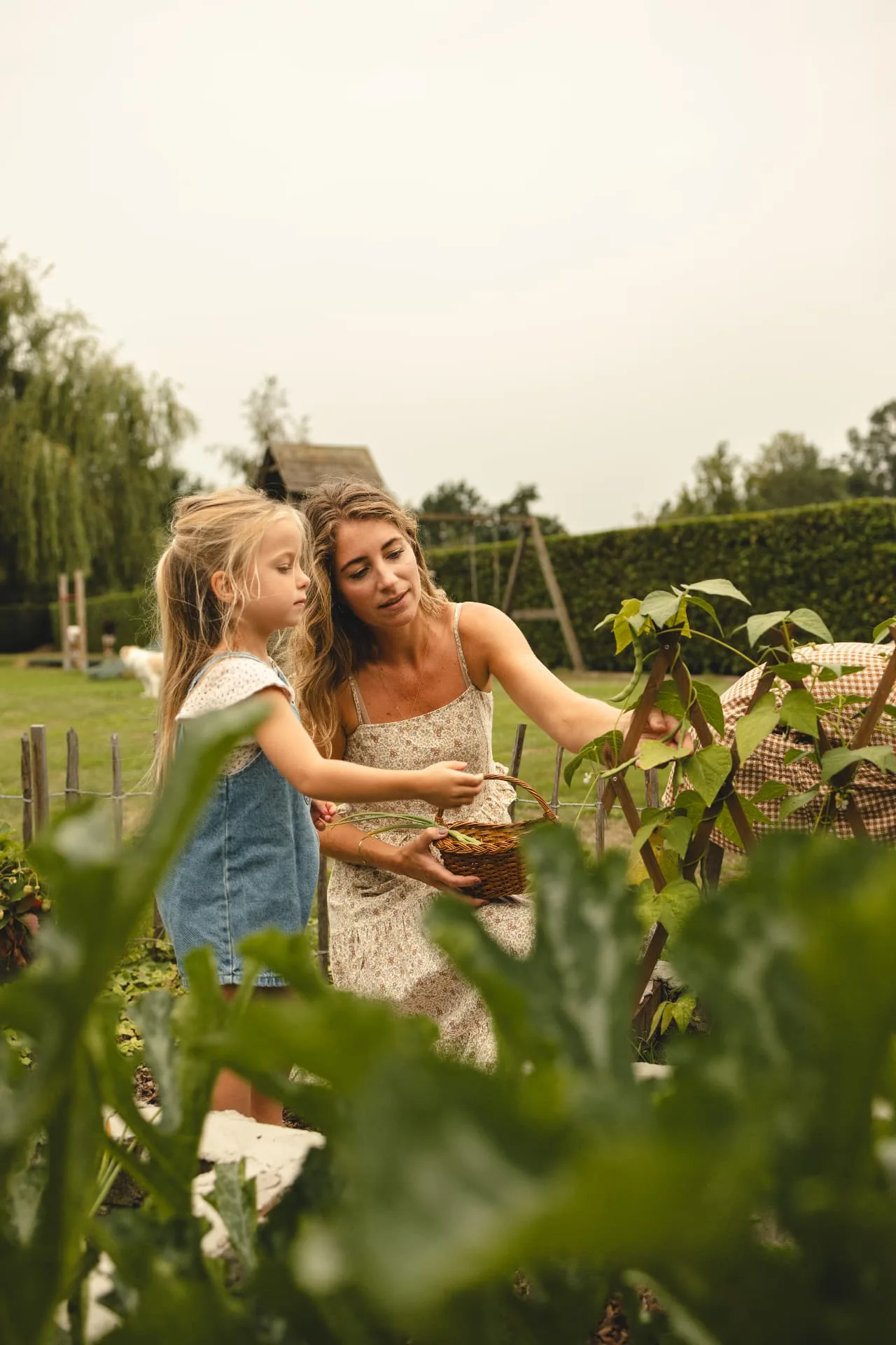 Gezinsfotograaf Venray